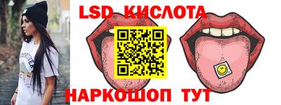 шишки Новодвинск