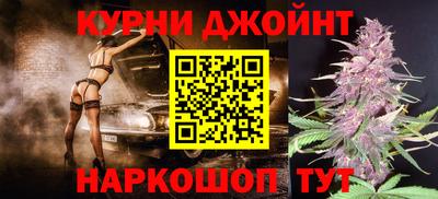 шишки Новодвинск