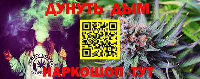 шишки Новодвинск