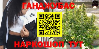 прущий лед Новозыбков