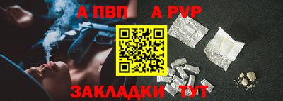 шишки Новодвинск