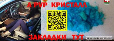 шишки Новодвинск