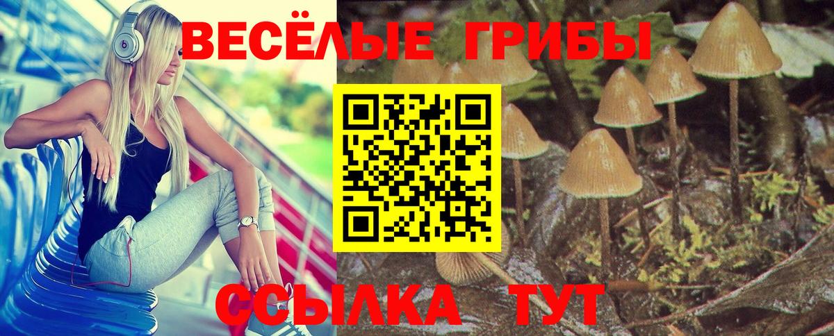 Псилоцибиновые грибы мухоморы  Галлюциногенные грибы мицелий  Славгород  Вход с VPN 