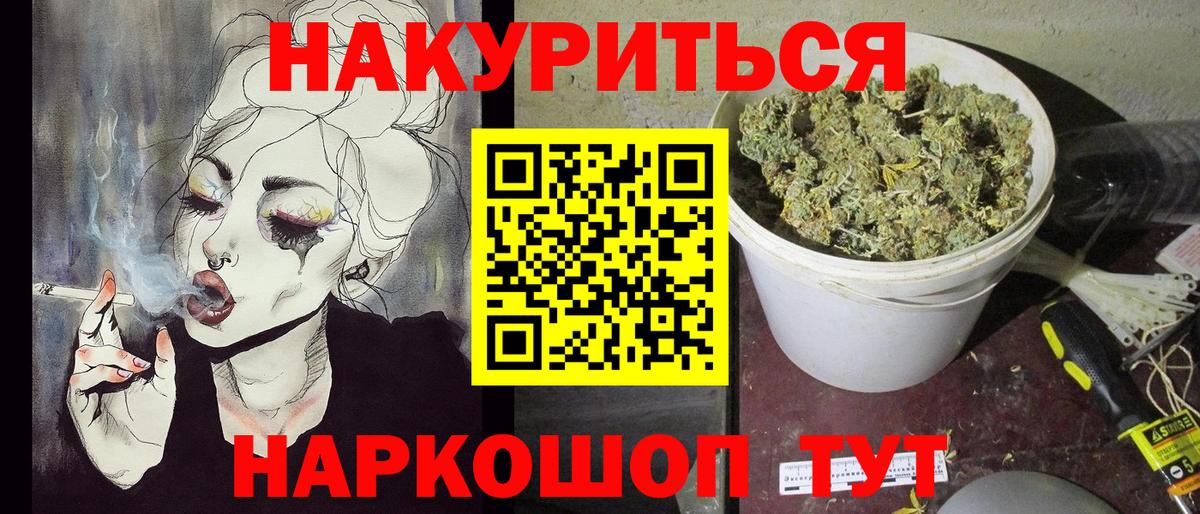 Славгород  Канабис сатива  Каннабис гибрид  Канабис планчик  Канабис семена  Вход с VPN 